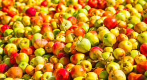 Polski gigant przejmuje Kampol-Fruit. Oto jakie ma plany