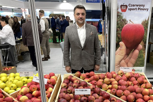 Odmiany jabłoni od AJAPPLE na TSW 2026. Jakie nowości dla sadowników?