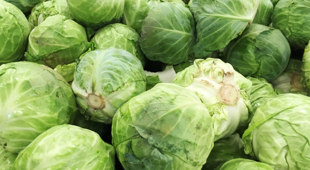 Od jednych więcej, od drugich drożej. Z kim przegrywa polska kapusta?