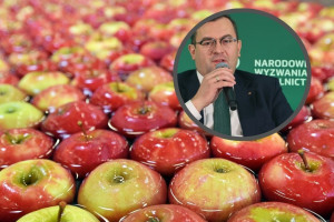 Polskie jabłka w Brazylii. Minister pracuje nad przyspieszeniem procedur
