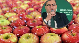 Polskie jabłka w Brazylii. Minister pracuje nad przyspieszeniem procedur