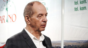 Rekordowy popyt na drzewka wiśni. Sadownicy dalej inwestują w grusze?