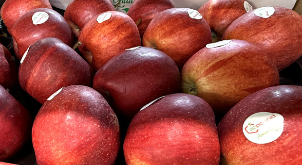 Mocny finał spokojnego roku. Ostatni miesiąc wysyłek jabłek nas zaskoczył