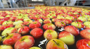 Aktualne ceny jabłek. Znacznie wzrosło zainteresowanie jedną odmianą