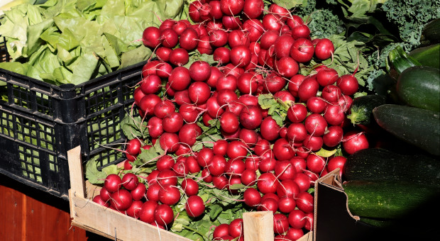 Pierwsze oznaki wiosny na Broniszach. Sezon na nowalijki 2026