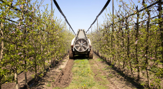 Dokąd zmierza ochrona roślin? Dyrektor MRiRW o uproszczeniach i dostępności nowych rozwiązań