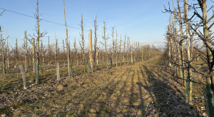 Wspólna Polityka Rolna po 2027 r. z ogromem zastrzeżeń. Na tym stracą rolnicy