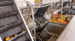 Eksport w górę, ale wyniki słabsze. Co dzieje się z koncentratem jabłkowym?