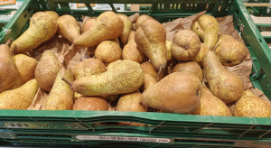 Ceny gruszek w Niemczech. Przede wszystkim import