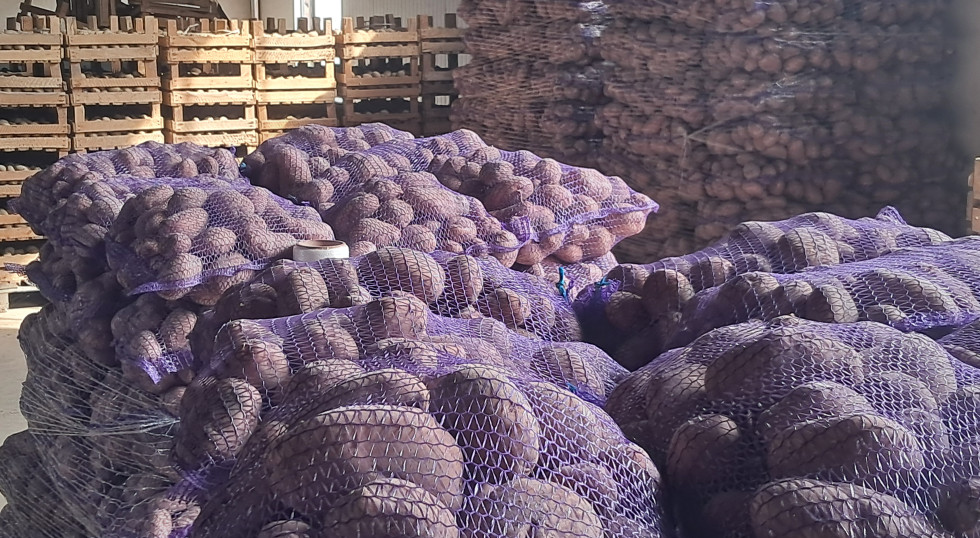 Magazyny przepełnione, a import z Niemiec nie ustaje. WIR kieruje sprawę do UOKiK