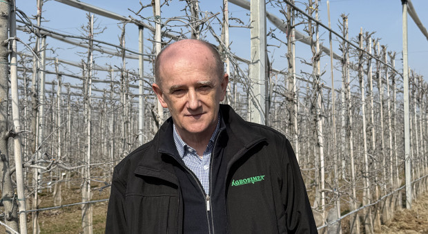 Bez dobrej gleby nie ma plonu – jak uniknąć błędów przy zakładaniu i prowadzeniu sadu?