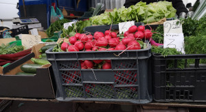 Wysokie ceny warzyw spod osłon, niskie ziemniaków. Ceny owoców i warzyw na Broniszach