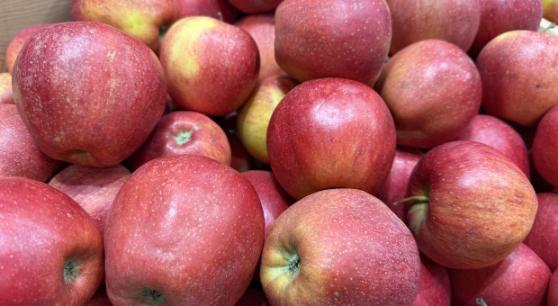 Włosi do przodu, Niemcy na końcu. Co z cenami w Polsce?