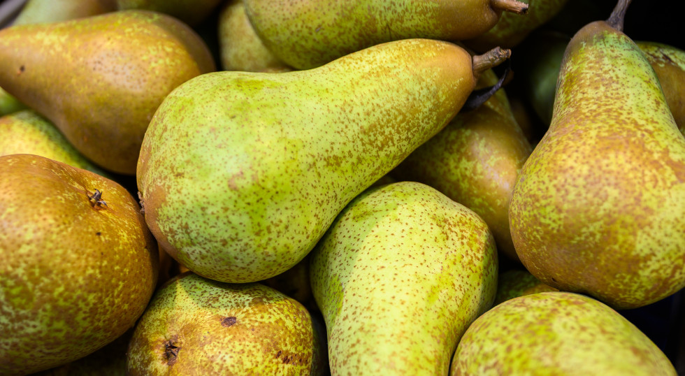 Import zepsuł sezon krajowym producentom gruszek? Duża presja cenowa