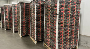 Grecka truskawka zdusiła ceny. Bronisze po dużych dostawach