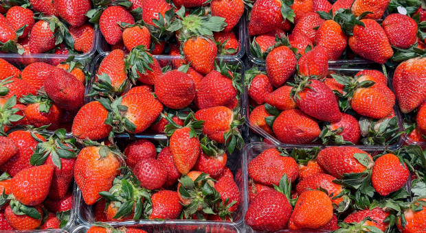 Jedni walczą z nadpodażą truskawek, inni z presją importu i spadkiem cen