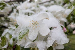 Arktyczny mróz uderzy w Polskę. Termometry pokażą minus 8 stopni