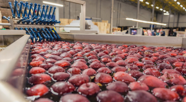 Nie tak miał wyglądać handel wiosną. Aktualne ceny jabłek deserowych