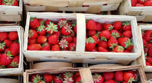 Ceny truskawek w Ukrainie - stawki w supermarketach i na targowiskach