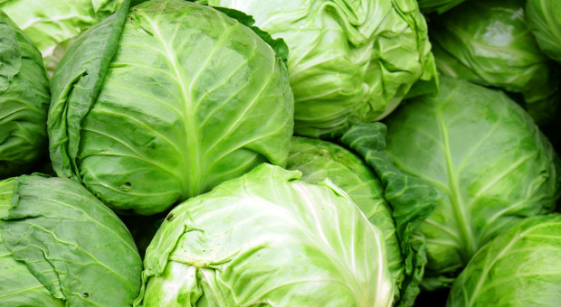 Polska młoda kapusta na Broniszach. Import tanieje