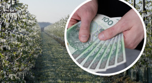 Pomoc po przymrozkach nie tak szybko. Sadownicy będą czekać