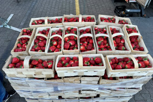 Drugi dzień braków i wysokich cen. Na Broniszach szał za truskawką
