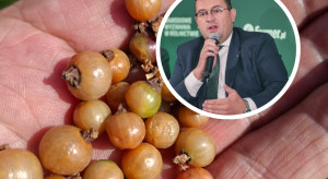 Straty po upałach będą oszacowane. Padła ważna deklaracja