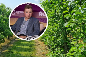 Sadownik o skali strat na Lubelszczyźnie. "W niektórych odmianach nie będzie czego zbierać"