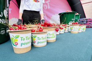 Polskie owoce to "pewniaki". Sadownicy stawiają na jakość