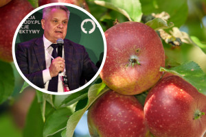 Ponad 2 mld zł strat? "Dotknęły nas wszystkie możliwe klęski"