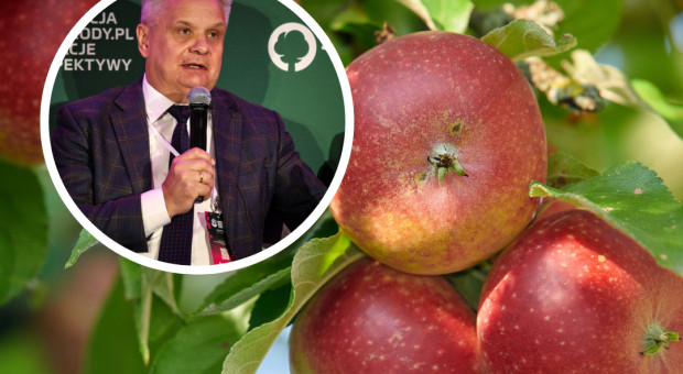 Ponad 2 mld zł strat? "Dotknęły nas wszystkie możliwe klęski"
