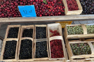 Ceny czarnych porzeczek 2026. Ile kosztuje kilogram?