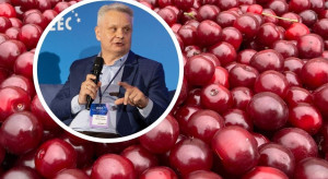 Skup bez ceny i zyski kosztem innych. UOKiK sprawdzi zakłady skupujące wiśnie