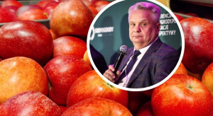 Stumilionowy kraj czeka na polskie jabłka. Maliszewski: To szansa na lepsze ceny