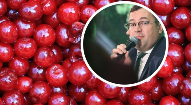 Drastyczne obniżki cen wiśni w skupach. Minister zgłosi możliwą zmowę cenową