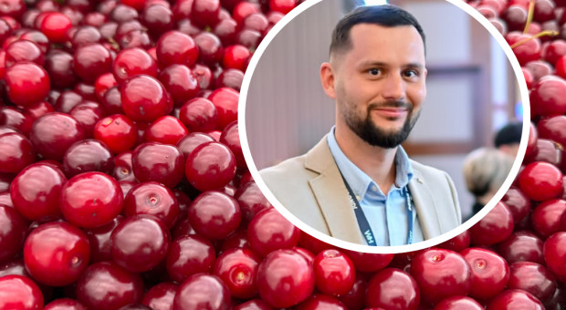 Damian Palus: Nie sprzedaliśmy wiśni w cenowym dołku. Tym razem ryzykowna decyzja wyszła na dobre