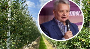 W sadach susza i mniejsze zbiory, a import śmieje nam się w twarz