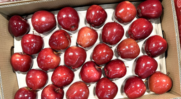 UE zmieni zasady dla importowanych owoców? Zagraniczni producenci mogą stracić przewagę