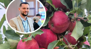 Pierwsza Gala Dark Ann – jak idą zbiory w gospodarstwie Braci Palus?