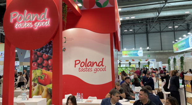 15 firm promuje polskie owoce i warzywa. Ruszyły targi Fruit Attraction 2026