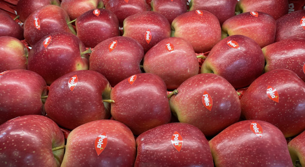 Polska Gala i odmiana klubowa na Fruit Attraction. Rośnie popyt z Indii i Ameryki Południowej