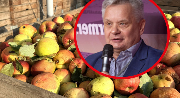 Jabłka przemysłowe po 50 gr. Maliszewski do przetwórców: "Przegięliście! Zmieciemy Was z tego rynku”