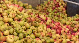 5 mln mniej za Kampol-Fruit. Chętni na zakład w Rykach mają czas do 19 października